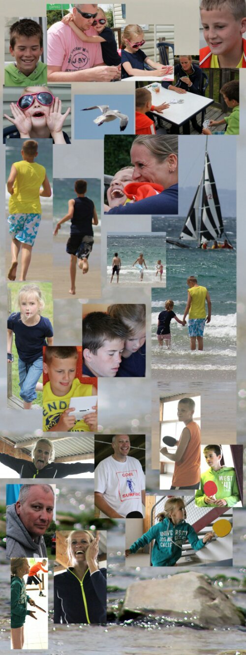 collage.jpg image